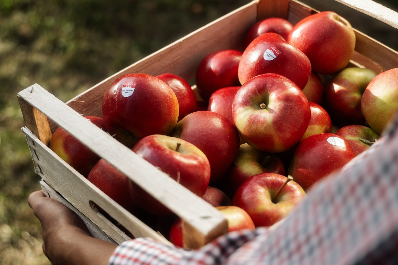 Obsthof Zörner Kampagne "Dein Bisschen Heimat"